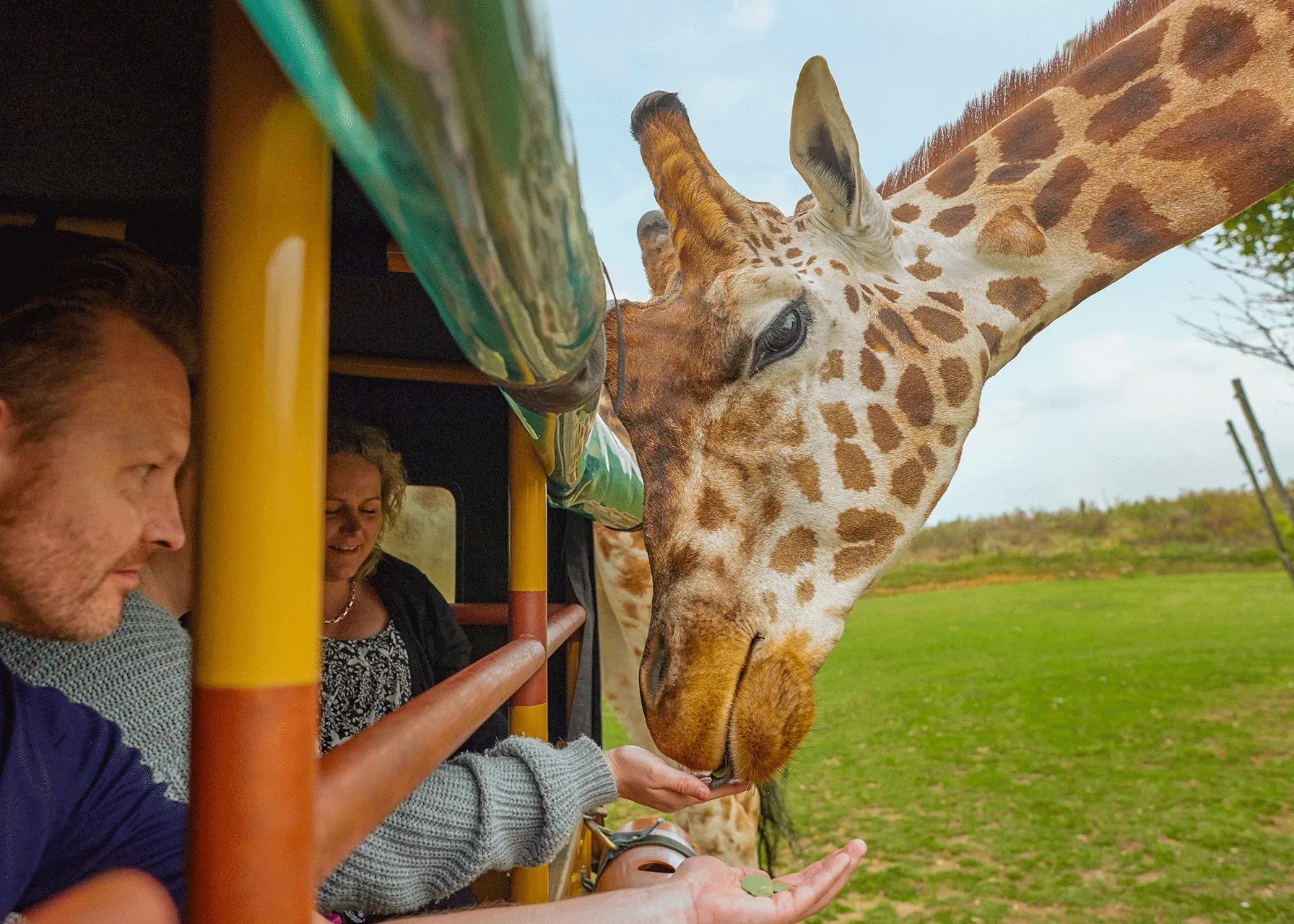 Chessington Zoo Vip Animal Experiences