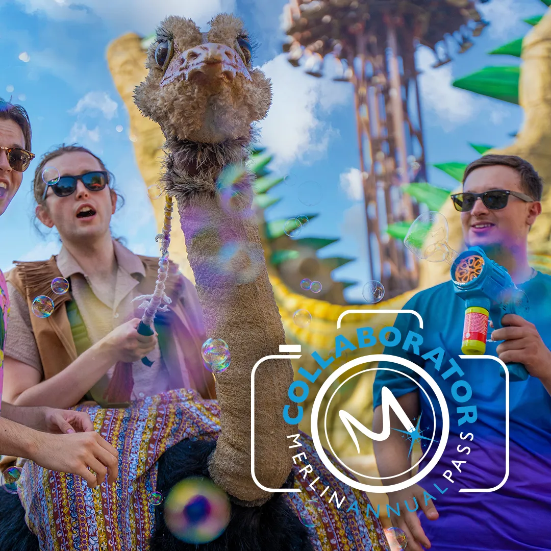 Merlin Annual Pass Collaborators