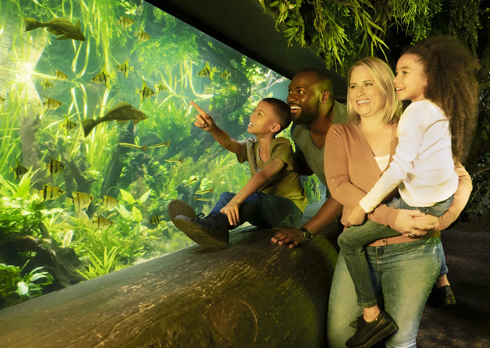 Rainforest Adventures at SEA LIFE London
