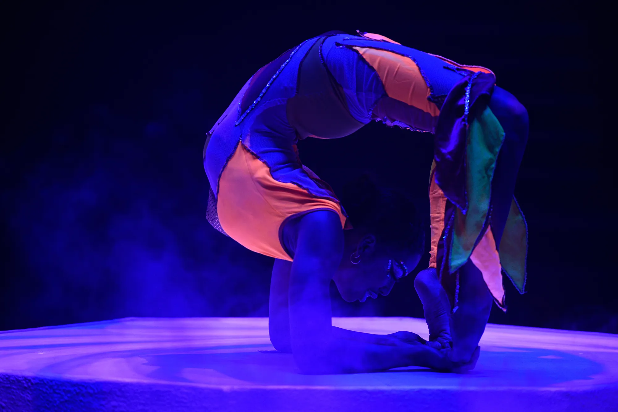 Blackpool Tower Circus