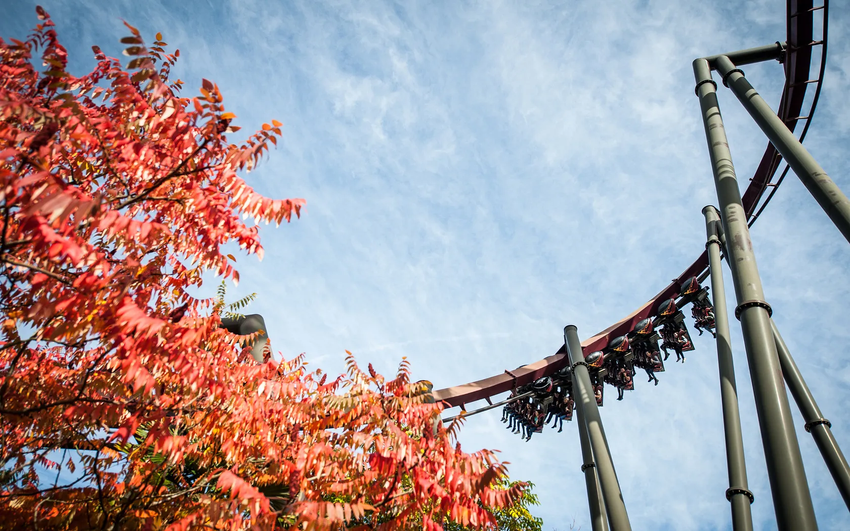 Autumn at THORPE PARK Resort