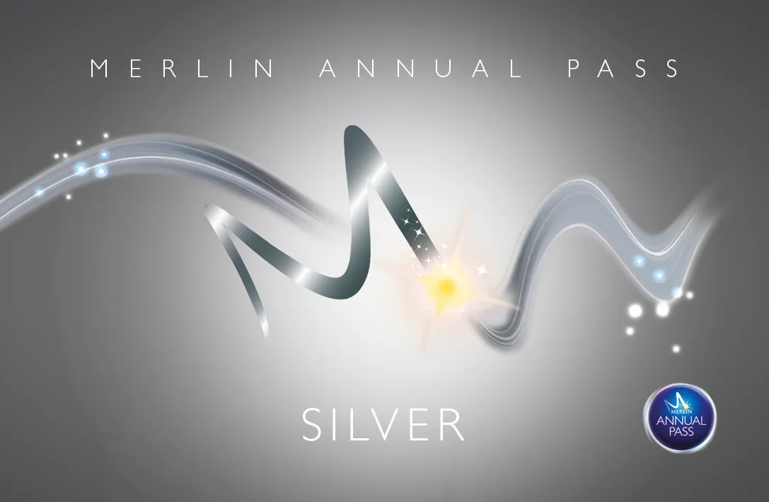 Merlin Silver Pass