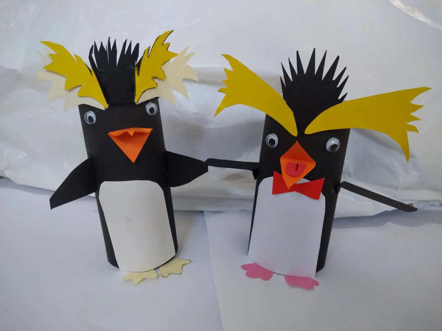 Penguin Winner Get Creative