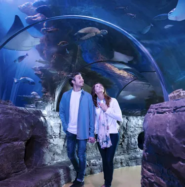 Bring a Friend to London Attractions