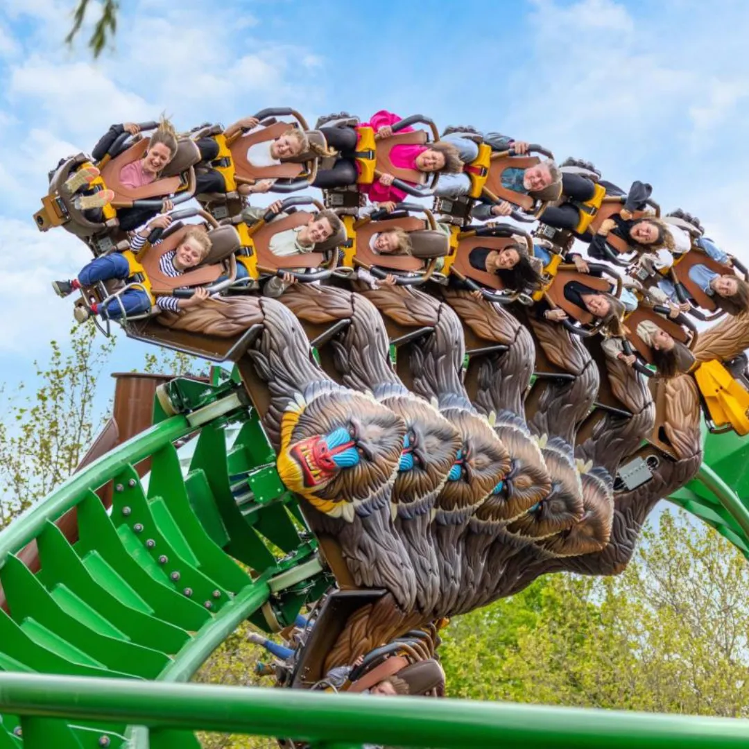 Friends And Family CWOA Image