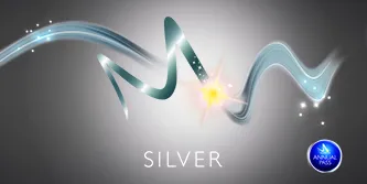Merlin Silver Pass